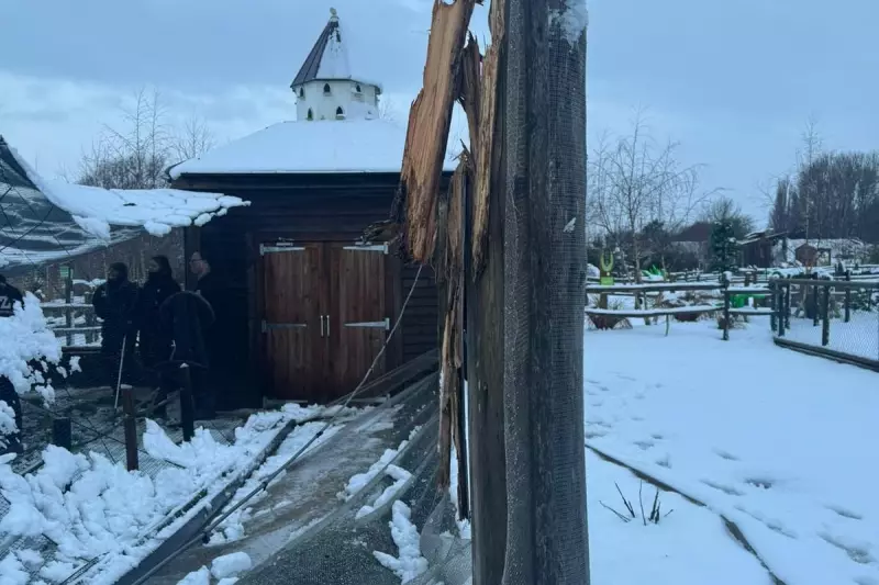 Twycross Zoo Launches Urgent Appeal After Storm Goretti Damages Aviaries