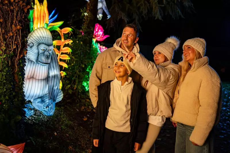 Twycross Zoo's £8 Universal Credit Evenings for Lanterns of the Wild