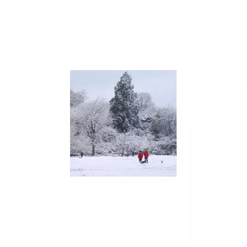 UK Braces for 27-Inch Snow Bomb with 36-Hour Blizzard Forecast