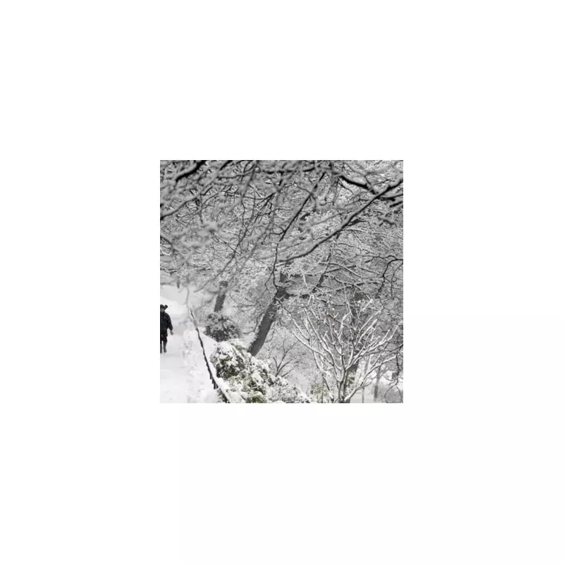 UK Braces for 33-Inch Snow Bomb as Met Office Warns of Wintry Hazards