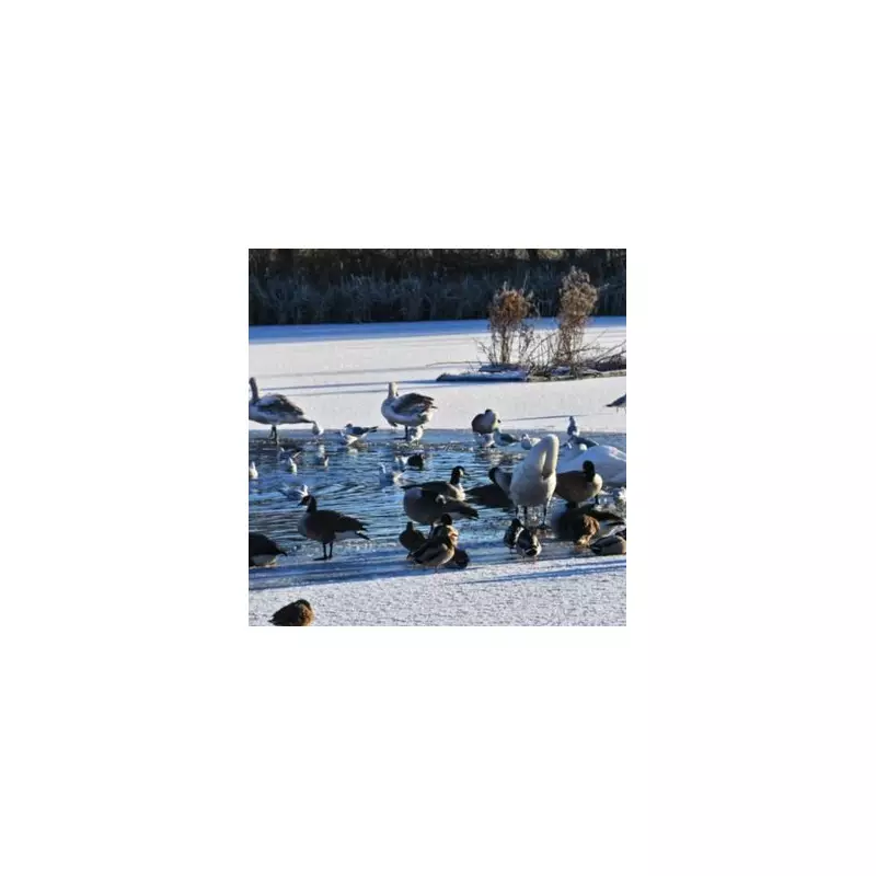 UK Braces for 600-Mile Snow Bomb: Only Three Counties to Escape