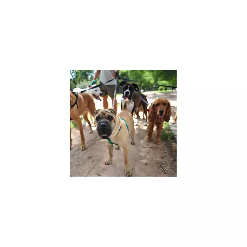 UK Dog Owners Face £1000 Fines for Breaching Six Key PSPO Rules