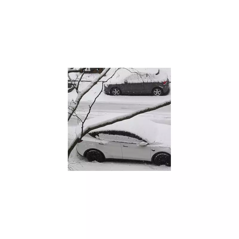 UK Drivers Urged to Perform Vital Winter Car Checks Amid Icy Snap