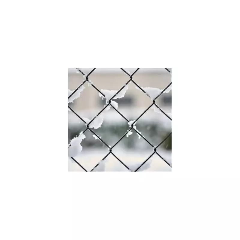 UK school closures: Full list for England, Scotland, Wales amid snow