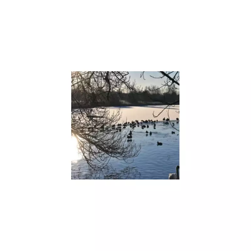 UK Snow Alert: 28 English Counties Braced for Three-Inch Blanket on February 9