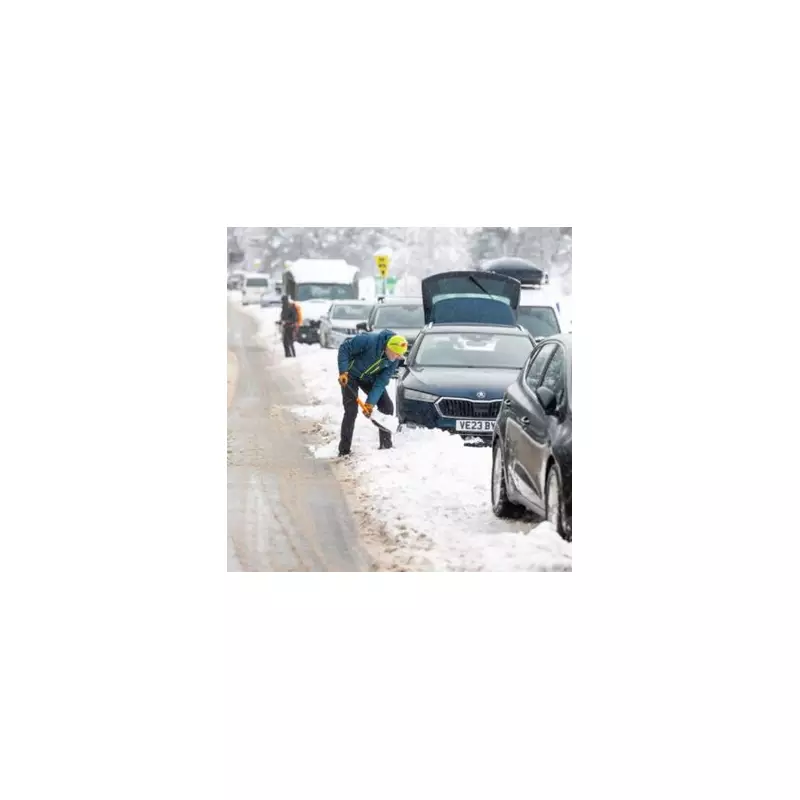 UK Snow Alert: 79cm Blizzard Forecast for Cairngorms in Four-Day Freeze