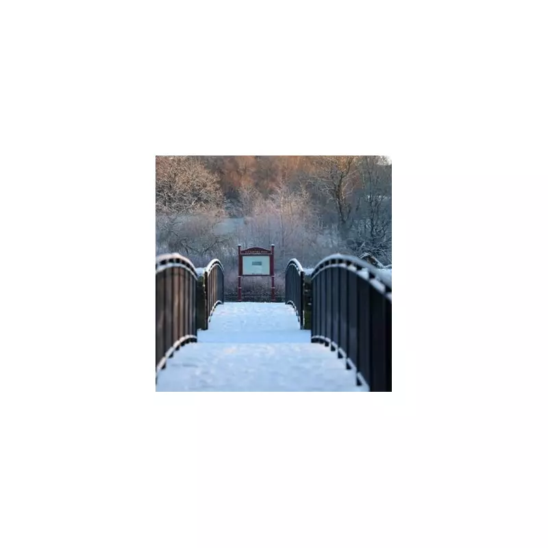 UK Snow Bomb Forecast Brought Forward to January 21