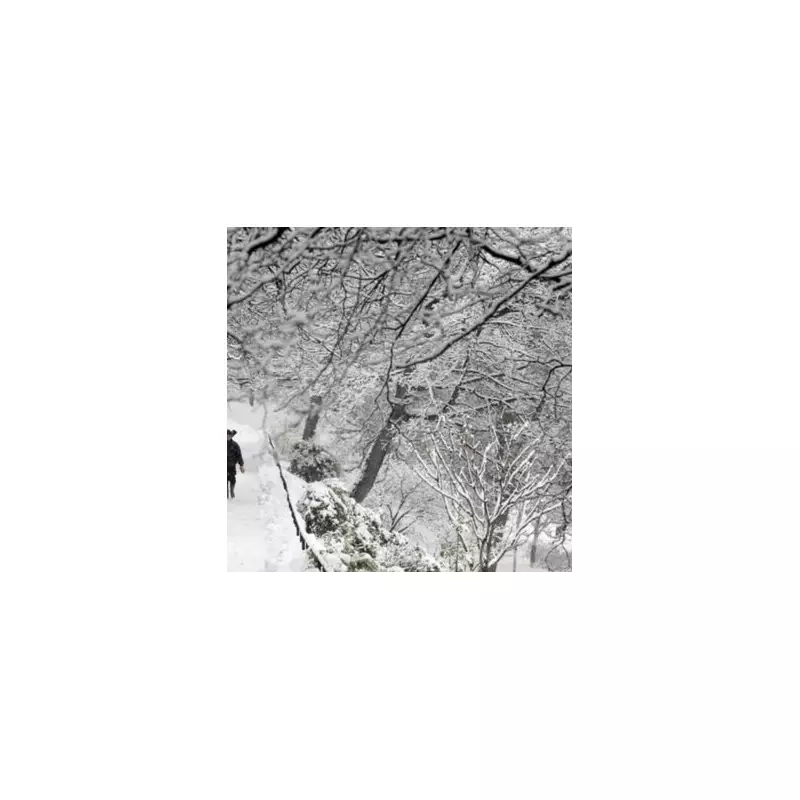 UK 'Snow Bomb' Threatens Rare Freezing Rain Hazard Across England