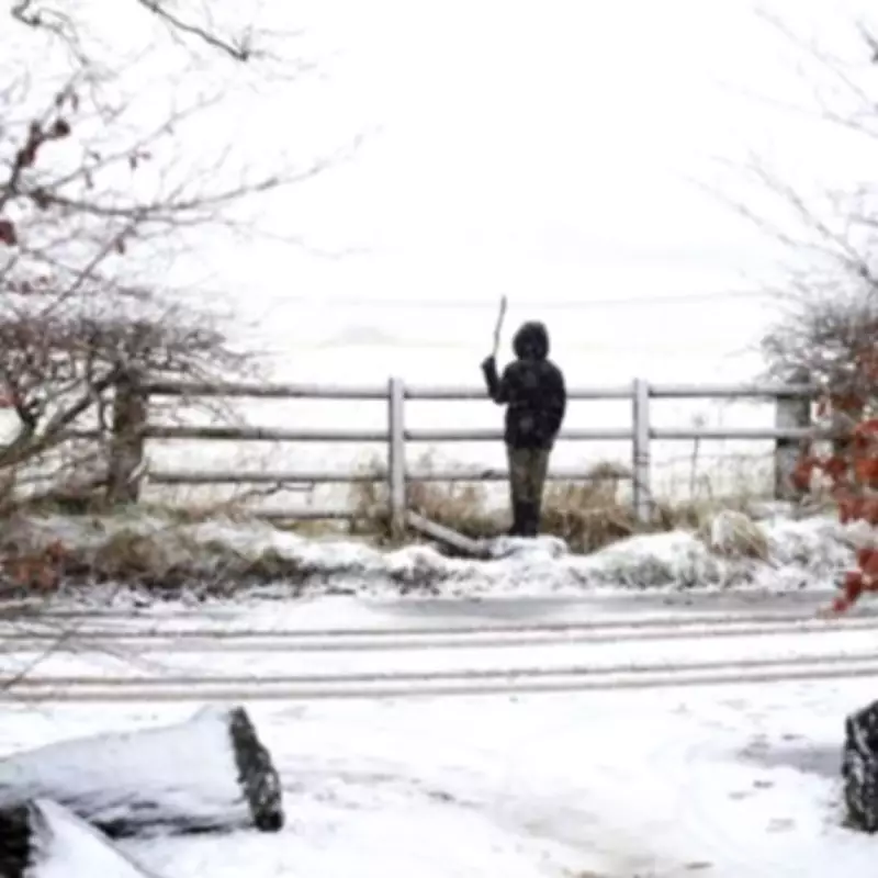 UK Snow Forecast: Widespread Disruption Now Expected From February 10