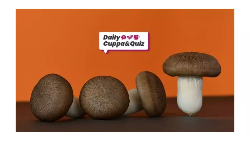 Wednesday Quiz: Test Your Knowledge on History, Science and Pop Culture