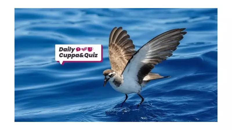 Wednesday Quiz: Test Your Knowledge on History, Sport & Music