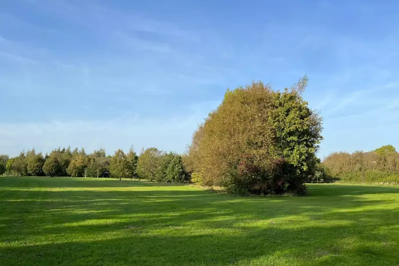 West Midlands Family Living Guide: 16 Top Value Locations Revealed