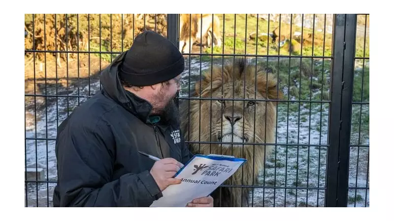 West Midlands Safari Park Completes 2025 Animal Census: Over 1000 Animals Counted