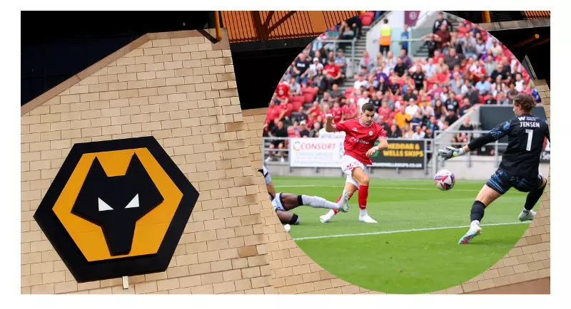 Wolves Target Bristol City's Anis Mehmeti in January Transfer Pursuit