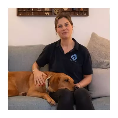 5 Expert Tips to Teach New Tricks to Your Older Dog