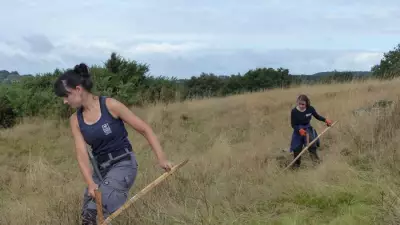 70 Years of Wildlife Triumphs: Leicestershire & Rutland Trust's Triple Anniversary
