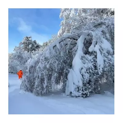 79 UK Areas Brace for 1-6 Inches of Snow on Tuesday, Met Office Warns