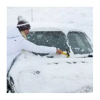 AA Reveals Quickest Method to Defrost Your Car Windscreen in UK Cold Snap