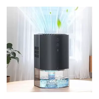 Amazon's £25 Dehumidifier Praised as 'Total Win' by Over 1,000 UK Shoppers