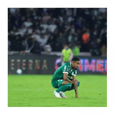 Aston Villa Make Enquiry for Palmeiras Starlet Allan with €100m Release Clause