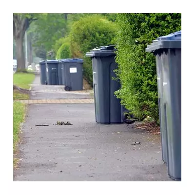 Binman's Warning: One Common Item Could Get Your Recycling Rejected
