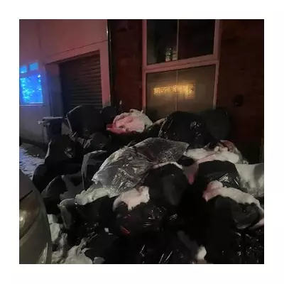 Birmingham bin strike: Handsworth street a 'dumping ground' for rubbish