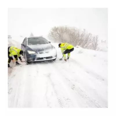 Birmingham Braces for Second 'Snow Bomb' with 10.6 Inches Forecast