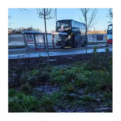 Birmingham Bus Crash: Multiple Injured After Vehicle Hits Hospital Stop