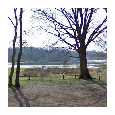 Dramatic Ice Rescue: Firefighters Scramble to Save Dogs at Shropshire Lake