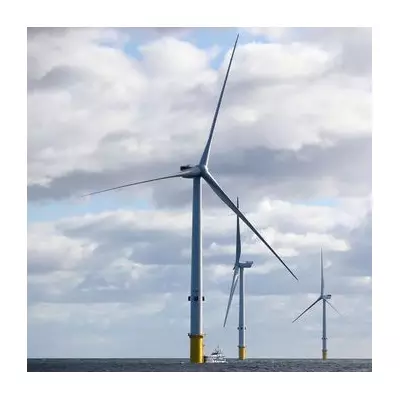 EDF scraps Blyth 2 floating wind farm expansion in Northumberland