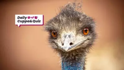 Friday Quiz: Test Your Knowledge on Currency, Cuisine, and Cars