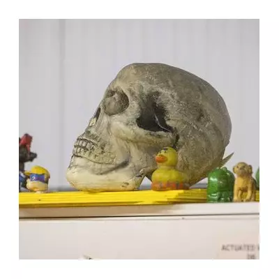 Inside Birmingham's Sewage Plant: The Shocking Items Flushed Daily