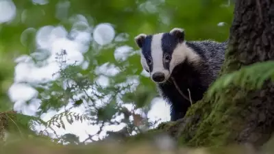 Lancashire Wildlife Trust Launches 'The Conservation Chronicles' Podcast