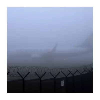 Met Office Fog Warning: 11 Areas Face Flight & Travel Disruption