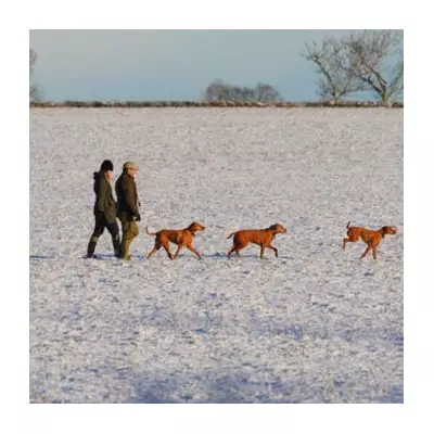 Met Office Urges UK Drivers: Assemble 9-Item Emergency Kit for Winter Roads