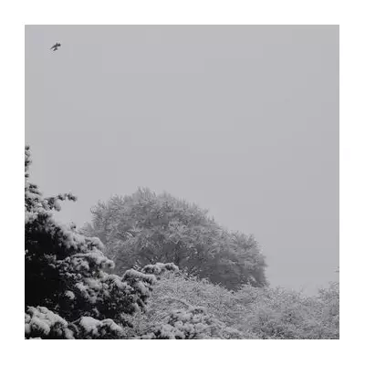 Midlands Braces for Sunday Snowfall: -3C Temperatures and 3cm Snow Forecast