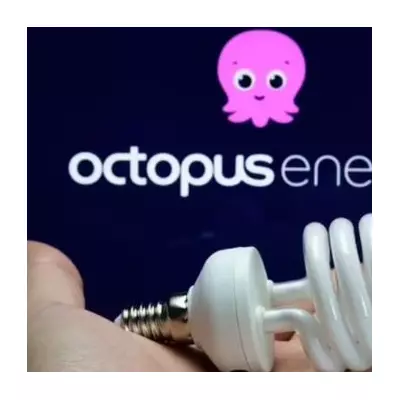 Octopus Energy Crowned Britain's Most Admired Company 2025