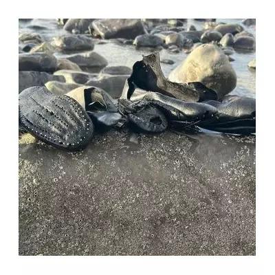 Over 200 'Victorian' Shoes Wash Up on Welsh Beach, Sparking Mystery