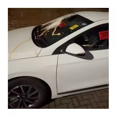 Southall resident pelts cars with eggs and flour in fake parking ticket protest