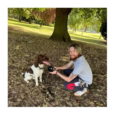 Springer Spaniel's Lucky Escape: Stick Found Piercing Stomach After Garden Play