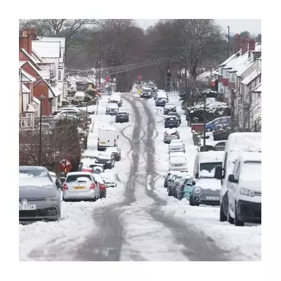 Storm Goretti: Man, 50s, dies as tree crushes caravan in Cornwall
