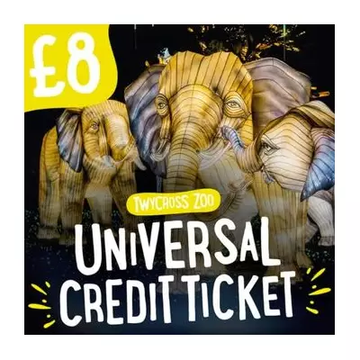 Twycross Zoo Offers £8 Universal Credit Tickets for Lantern Evenings
