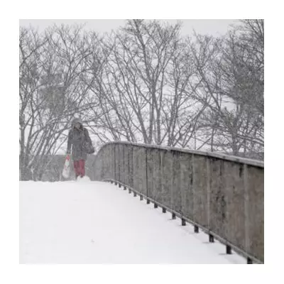 UK Braces for 248-Mile Snow Storm: Only Six English Counties Spared