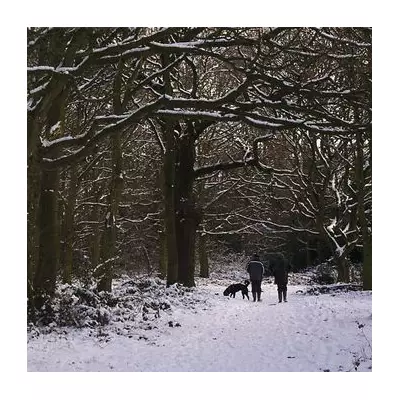 UK Braces for 72-Hour Snow Chaos: 40cm Forecast, Travel Disruption
