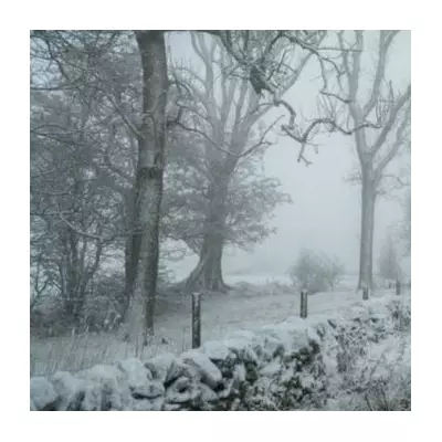 UK Snow Bomb Upgraded: 26cm Blizzard to Hit 11 English Counties