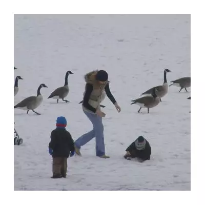 UK Snow Bomb: -6C Freeze and Widespread Snow Forecast for January 6-7