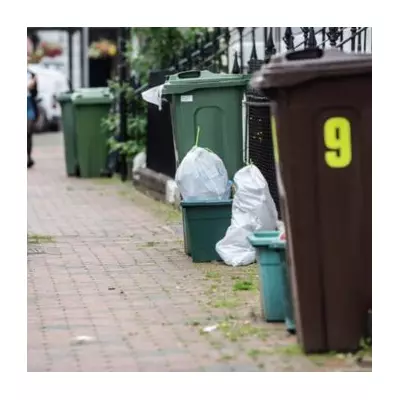 Weekly Food Waste Collections Mandatory for All English Homes from 2026