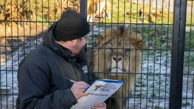 West Midlands Safari Park Completes 2025 Animal Census: Over 1000 Animals Counted