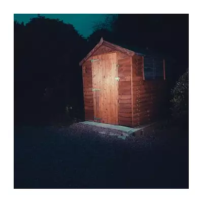 Winter Fox Mating Season: UK Alert for Eerie Screams & Pet Safety