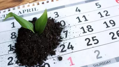 Your Month-by-Month Gardening Guide: Essential Tasks for 2026